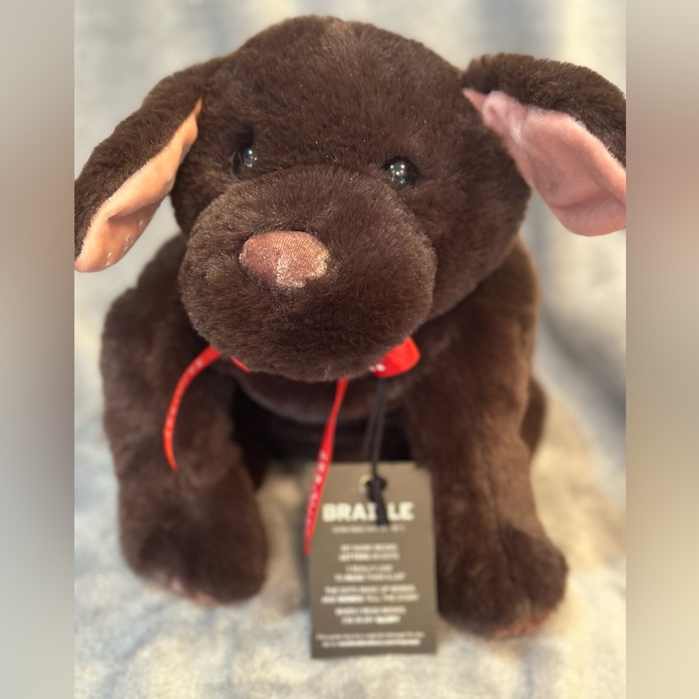 Braille stuffed puppy